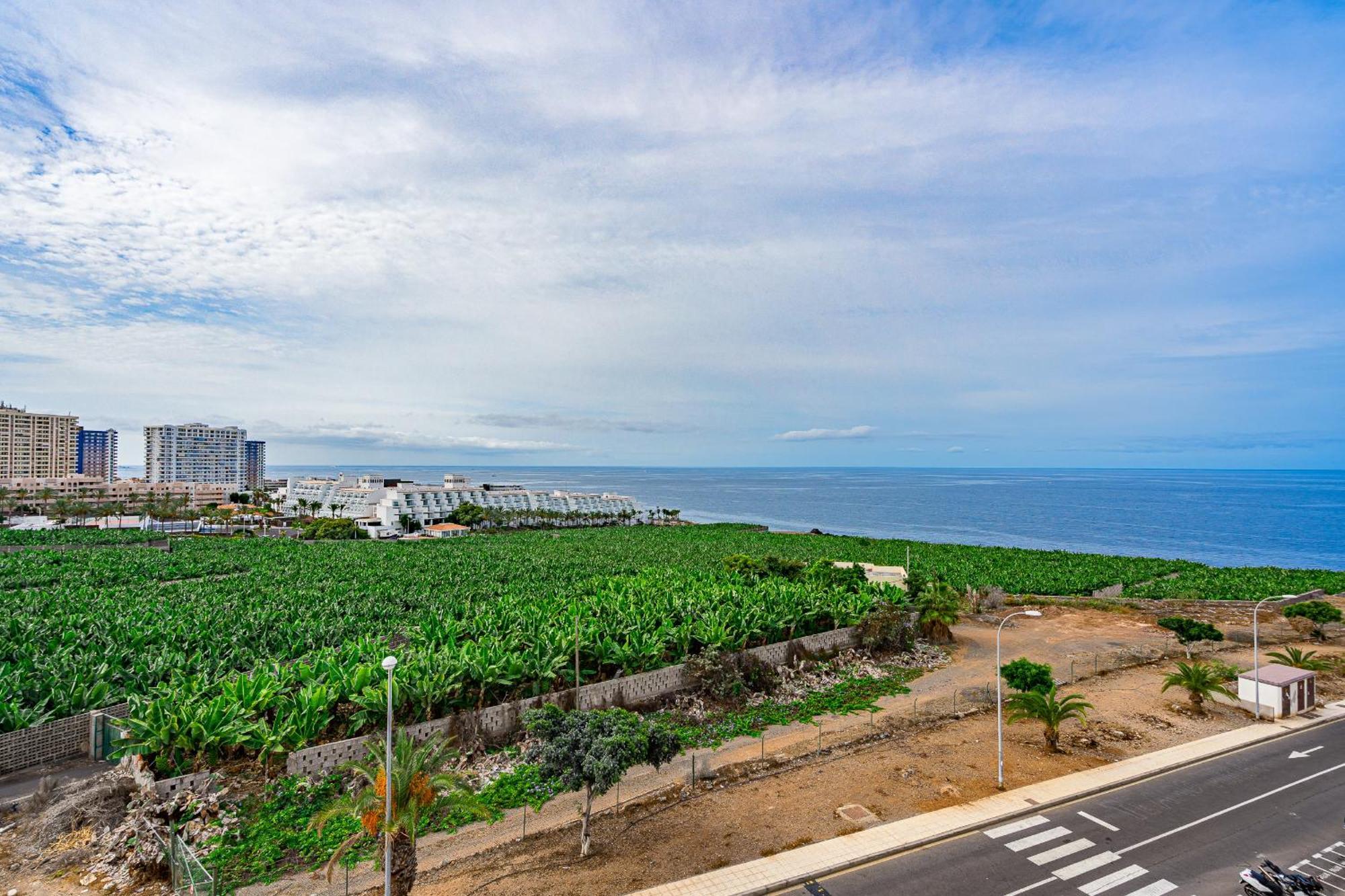 Appartement Tropical Views By Sunkeyrents à Callao Salvaje Extérieur photo